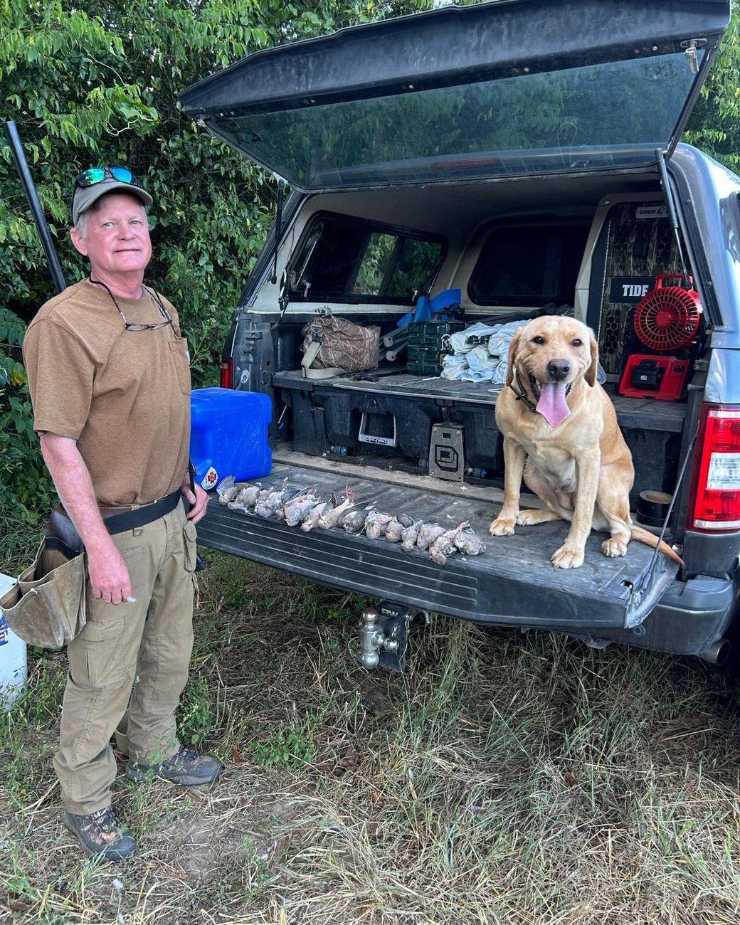 Dove hunting in Virginia